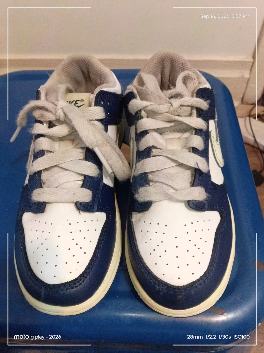 Kids Nike Dunk Navy and White Casual Sneakers - Classic Lace-Up
